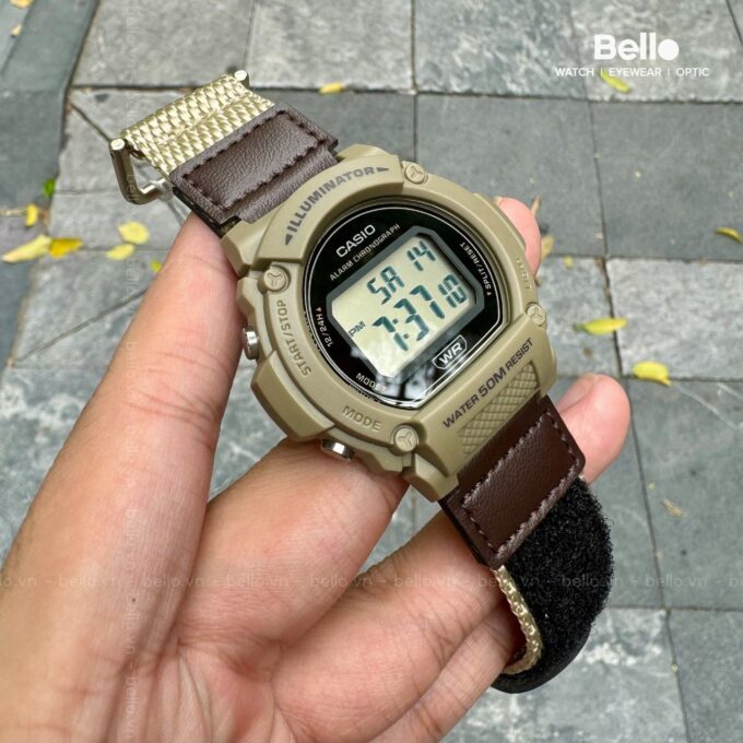 Casio W-219HB-5AVDF - Montre Sportive avec Chronomètre et Alarme