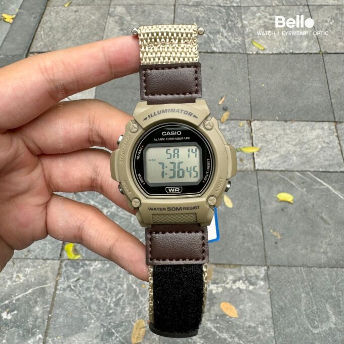 Casio W-219HB-5AVDF - Montre Sportive avec Chronomètre et Alarme