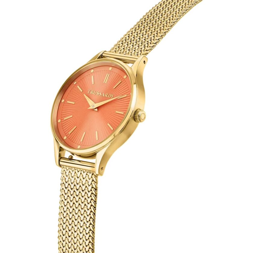 montre quartz femme acier, Étanche 5 atm, affichage analogique, bracelet acier, cadran orange réf. r2453152516